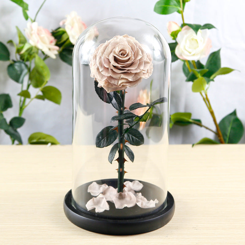 Preserved Flower Rose Finished Glass Cover Gift Box - Jayariele one stop shop