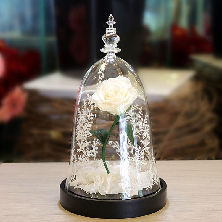 Rose Preserved Flower Glass Cover Creative Gift - Jayariele one stop shop