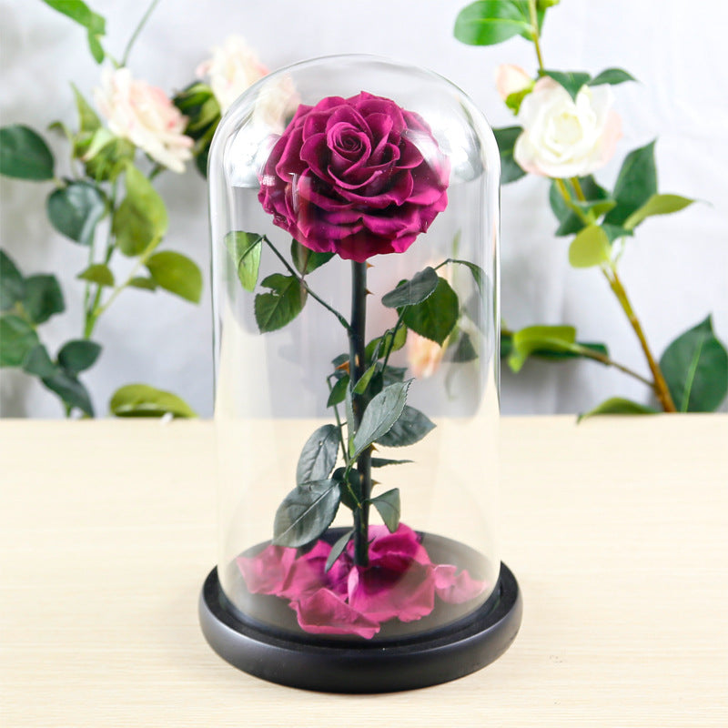 Preserved Flower Rose Finished Glass Cover Gift Box - Jayariele one stop shop