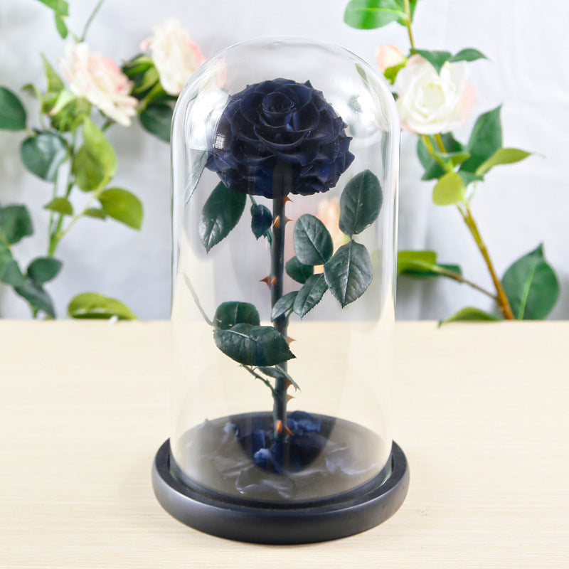 Preserved Flower Rose Finished Glass Cover Gift Box - Jayariele one stop shop