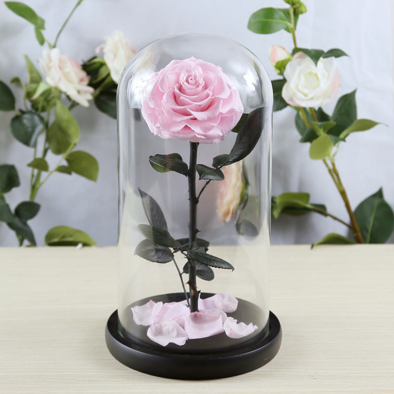 Preserved Flower Rose Finished Glass Cover Gift Box - Jayariele one stop shop