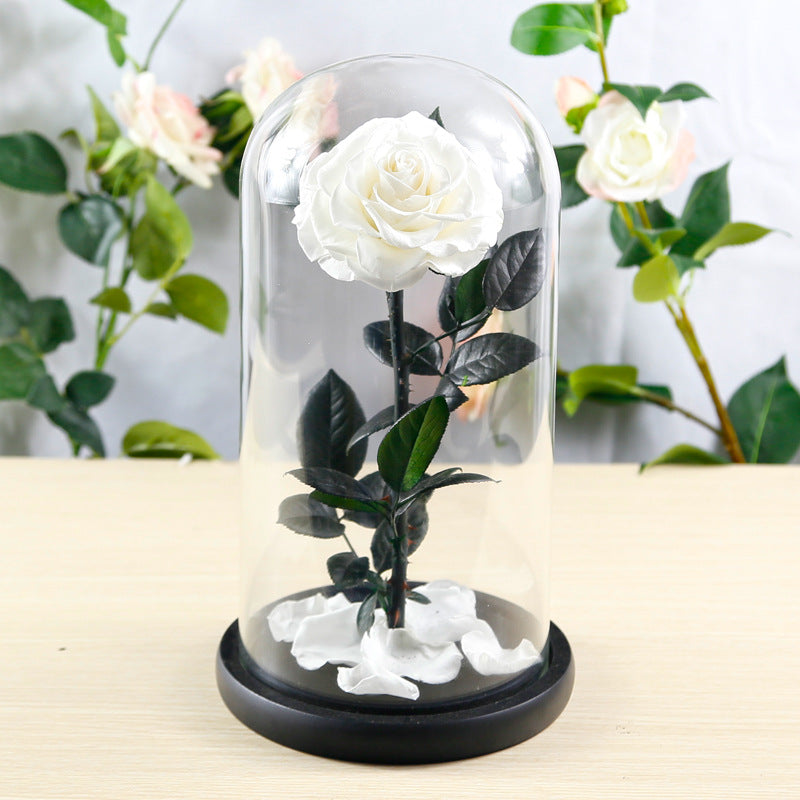 Preserved Flower Rose Finished Glass Cover Gift Box - Jayariele one stop shop