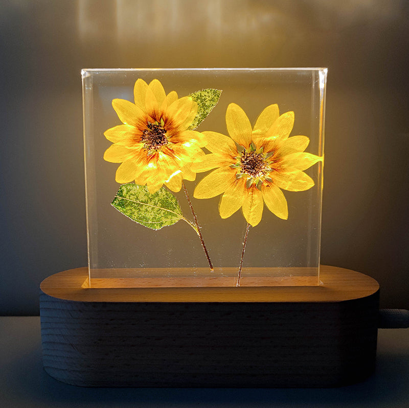 Preserved Flower Decorative Resin Plant Specimen Small Night Lamp - Jayariele one stop shop