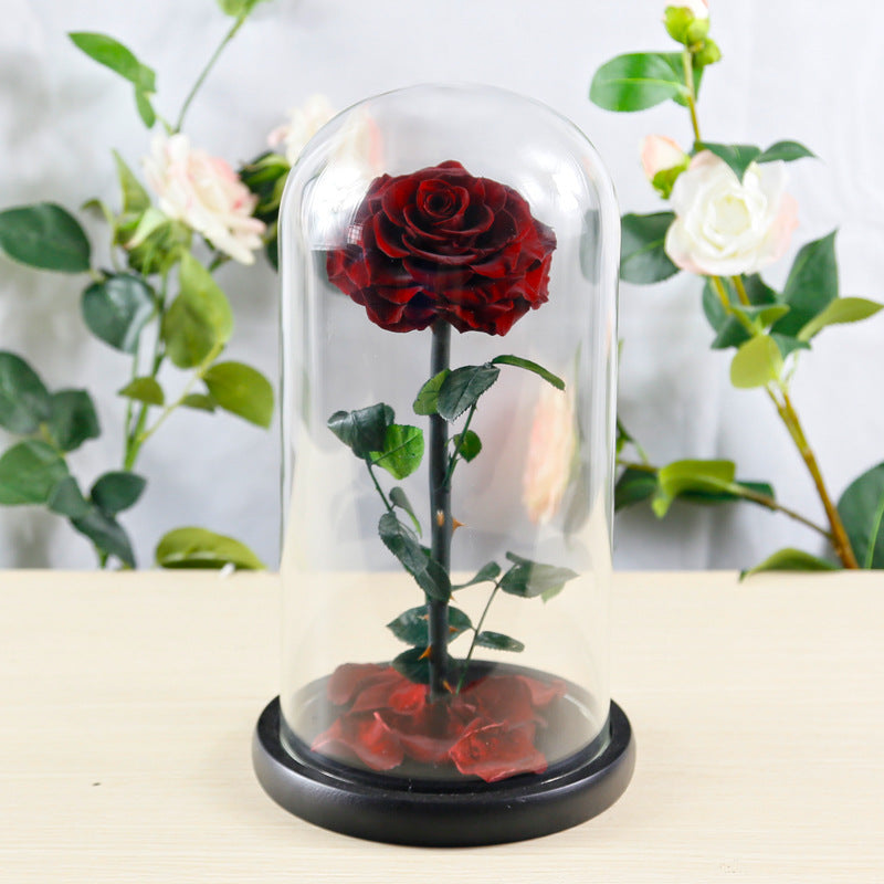 Preserved Flower Rose Finished Glass Cover Gift Box - Jayariele one stop shop