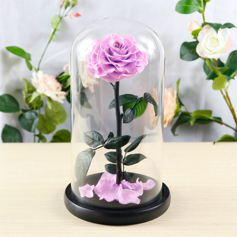 Preserved Flower Rose Finished Glass Cover Gift Box - Jayariele one stop shop