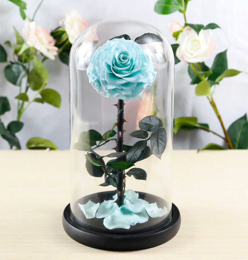 Preserved Flower Rose Finished Glass Cover Gift Box - Jayariele one stop shop