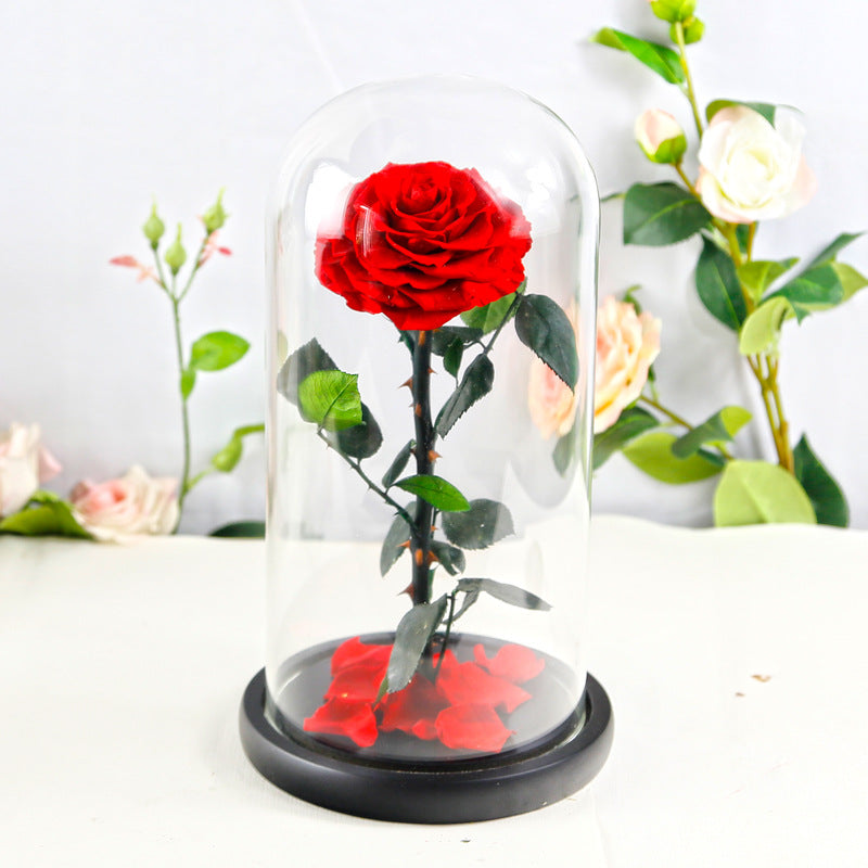 Preserved Flower Rose Finished Glass Cover Gift Box - Jayariele one stop shop